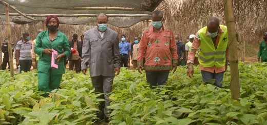 Le DG, le DGA et le Préfet de la vallée du Ntem, visitent la pépinière du Centre SODECAO d’Ebolowa en présence du Chef de Centre.